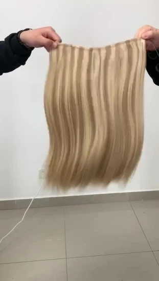 Atacado de qualidade todas as cores 100% remy cabelo russo cabelo virgem brasileiro halo em extensões de cabelo